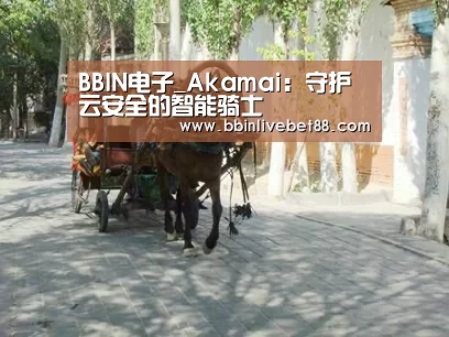 BBIN电子_Akamai：守护云安全的智能骑士