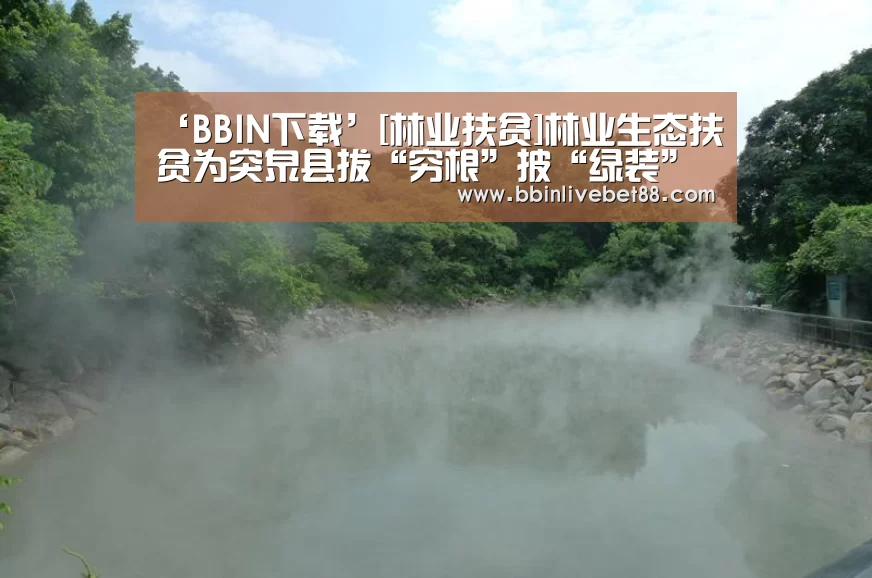 BBIN足球