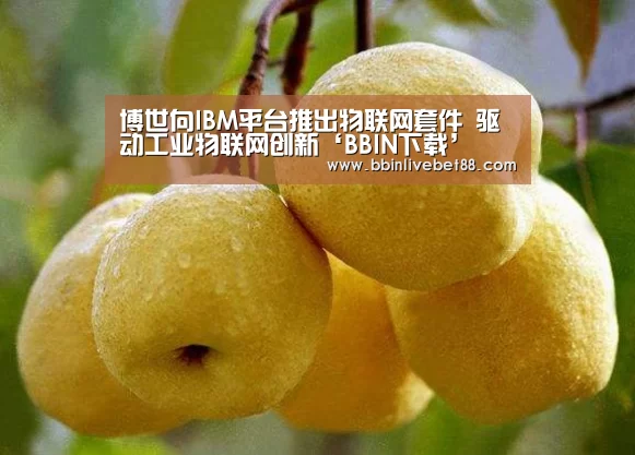博世向IBM平台推出物联网套件 驱动工业